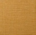 Gold Veneer