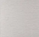 Grey Gull