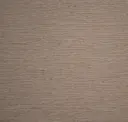 Pelican