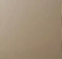 Ion