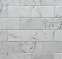 White Venatino