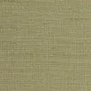 Beach Grass