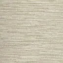 Brushed Metal