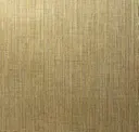 Golden Canvas