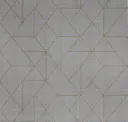 Silver Satin