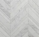 White Venatino