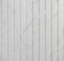 White Venatino
