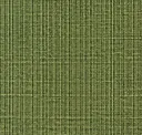 Grasshopper