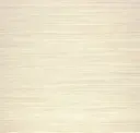 Tan-Tan