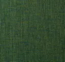 Eucalyptus