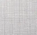 Edgy White