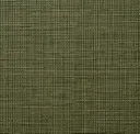 Electric Green