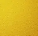 Canary