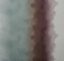 Evening Mist