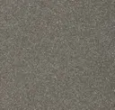 Tundra