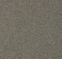 Tundra