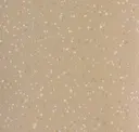 Sandpiper