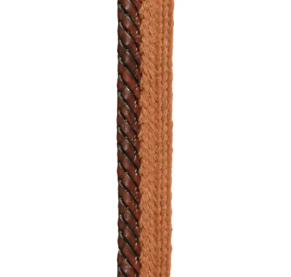 Main