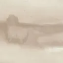 Shaka