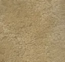 Beige Curly