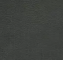 Black Sand