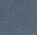 French Blue