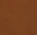Cedar