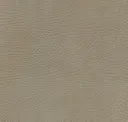 Clay