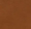 Cigar