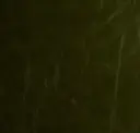 Bayou