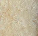 Snowcap
