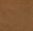 Nutmeg