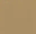 Parchment