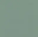 Mint Mist
