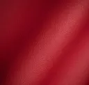 Fire Engine Red