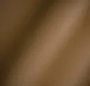 Hazelnut