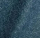 Bayou
