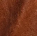 Sella