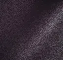 Aubergine