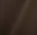 Coal