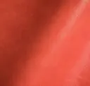 Spice