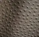 Pewter