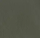 Loden