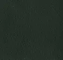 Fern Green