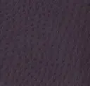 Aubergine