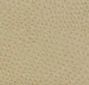 Sand Dune