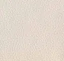 Antique White