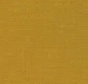 Marigold