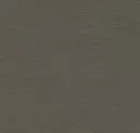 Sparrow