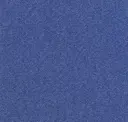 Bluebird